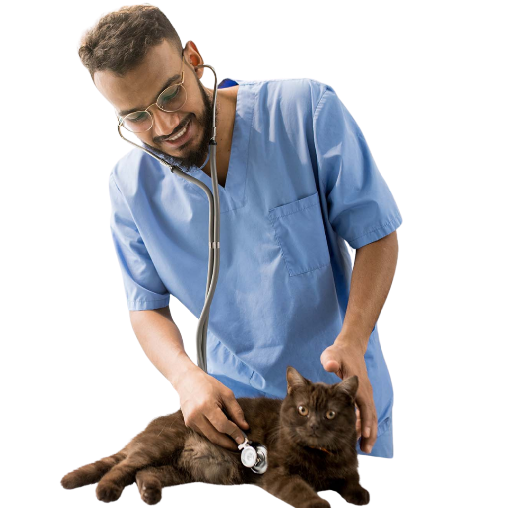 Hire a Veterinarian